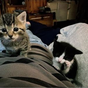 Meet your Posher, Mark